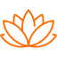 lotus lotus